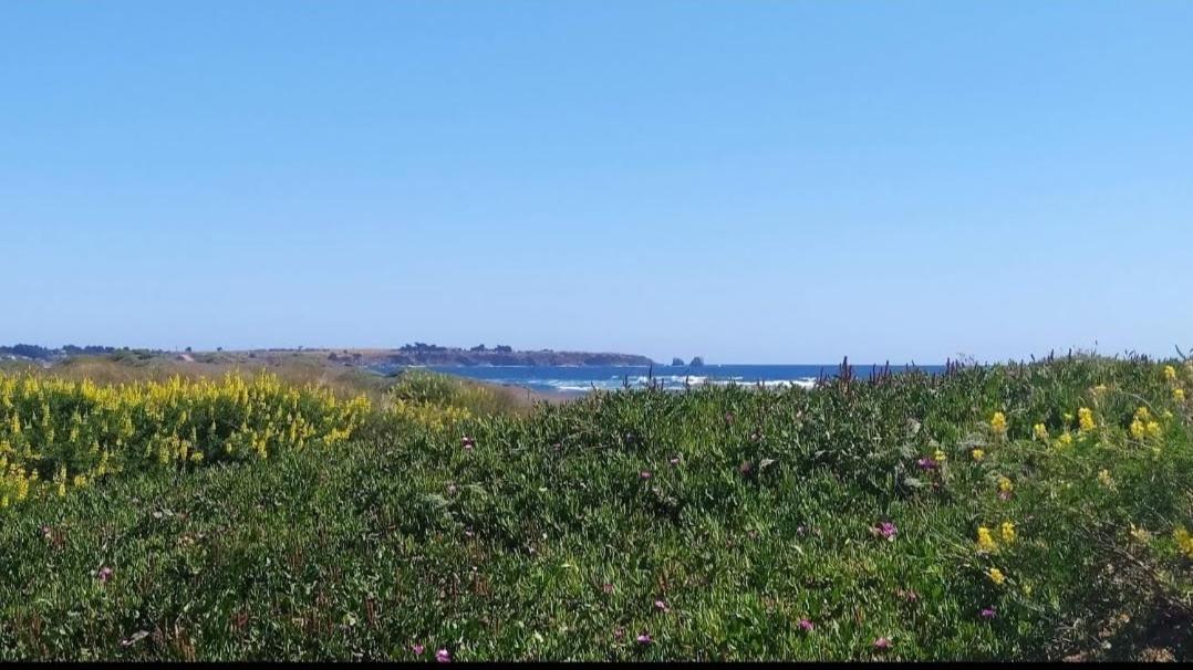 Saldemar Playa Hermosa Pichilemu Buitenkant foto